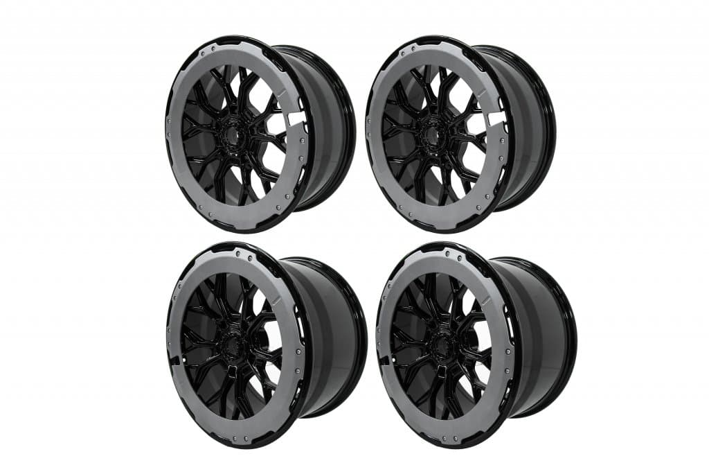 Ковані диски OEM R20 (Центральна гайка, 4 шт) 5