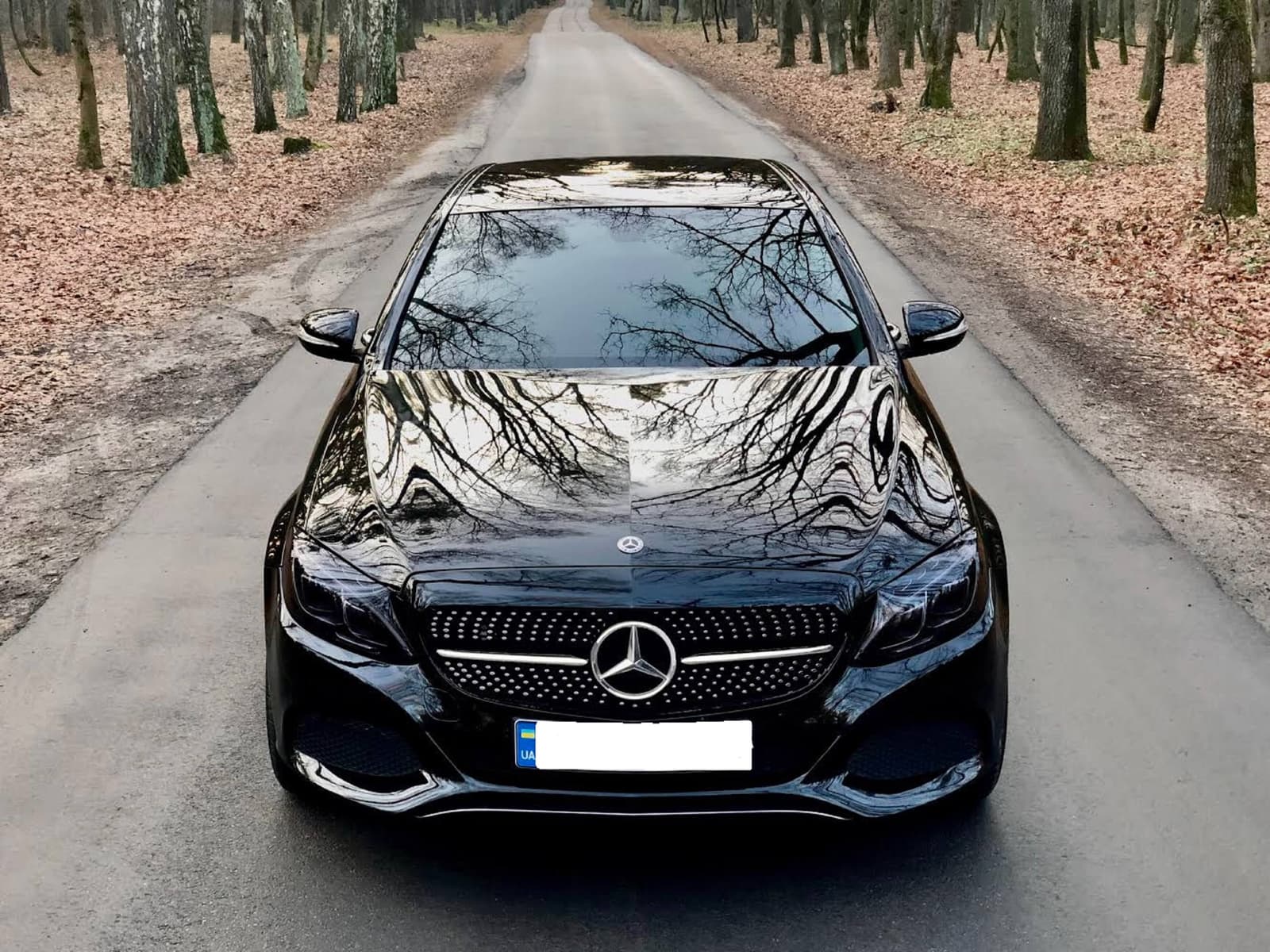 Решітка радіатора Diamond Black (без місця під камеру) на Mercedes-Benz C-Class W205 2014-2018 року 5