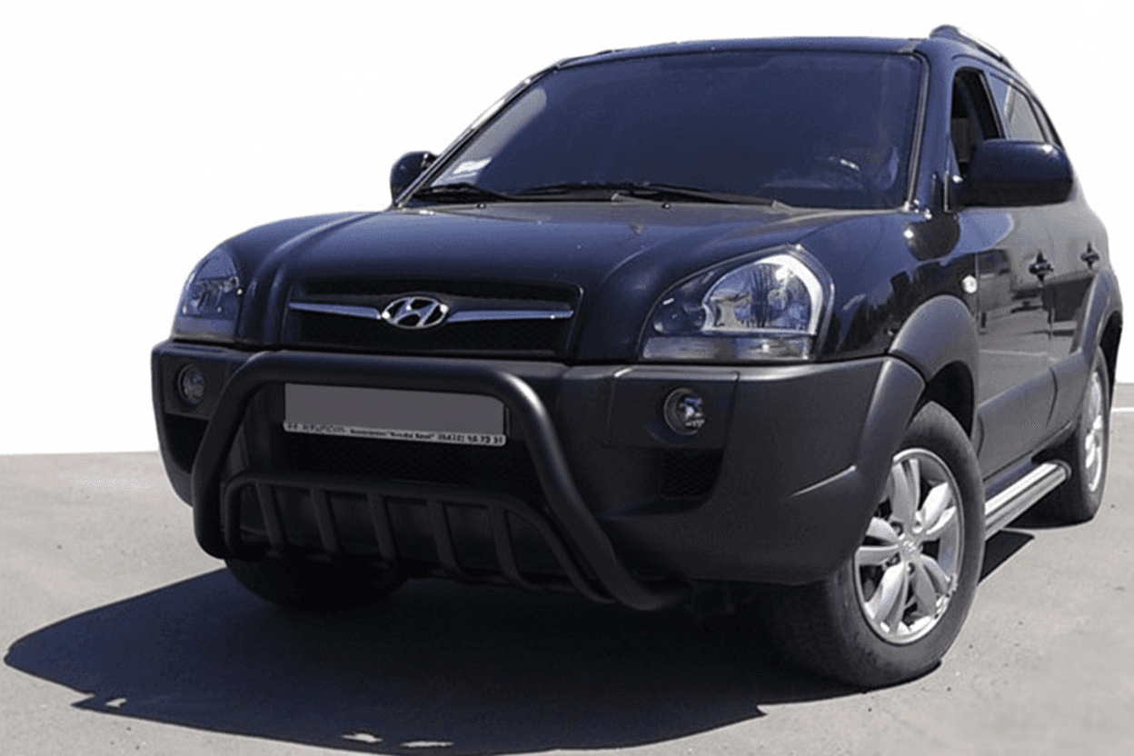 Кенгурятник WT002 Black (нерж.)