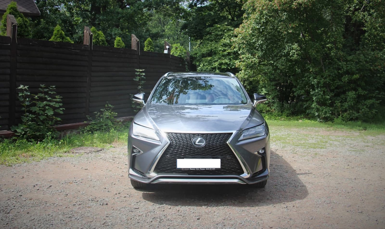 Решітка радіатора Gray (стиль F-Sport) на Lexus RX 2015-2019 року 5