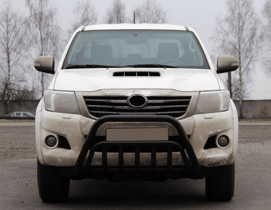 Кенгурятник WT002 Black (нерж.)