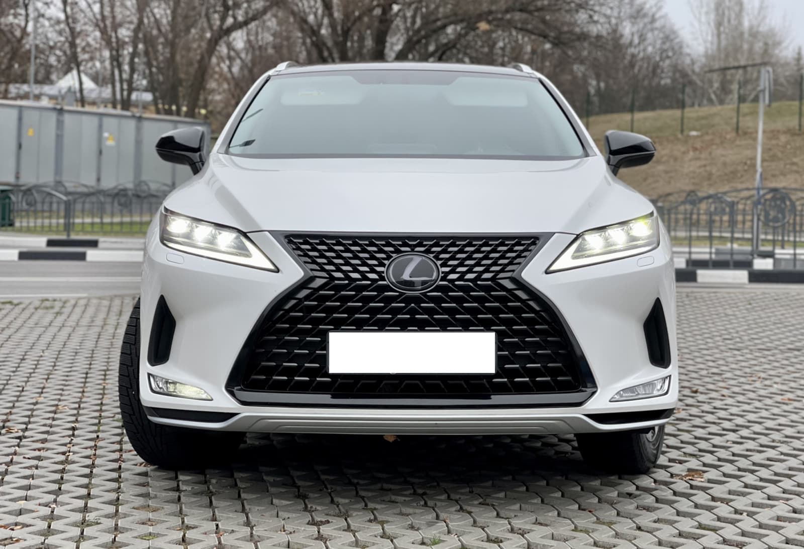 Решітка радіатора Gray (Normal) на Lexus RX 2019-2022 року 5