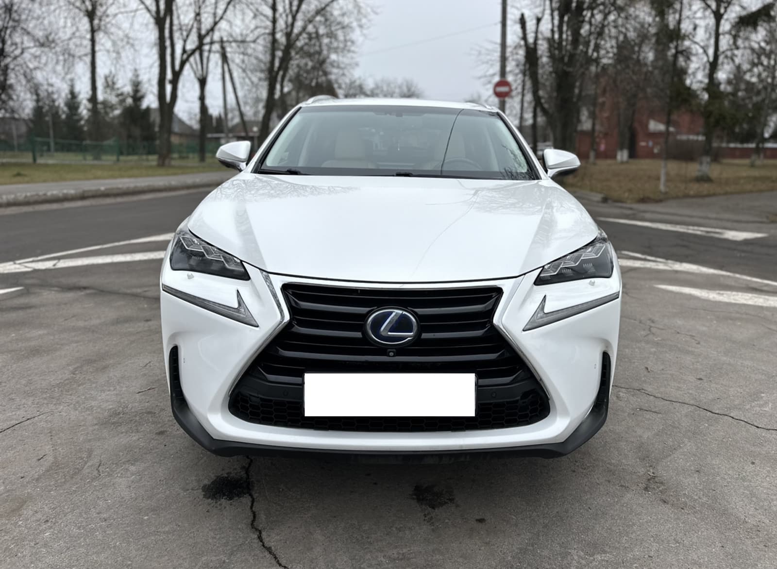 Решітка радіатора Gray (Normal) на Lexus NX 2014-2017 року 5
