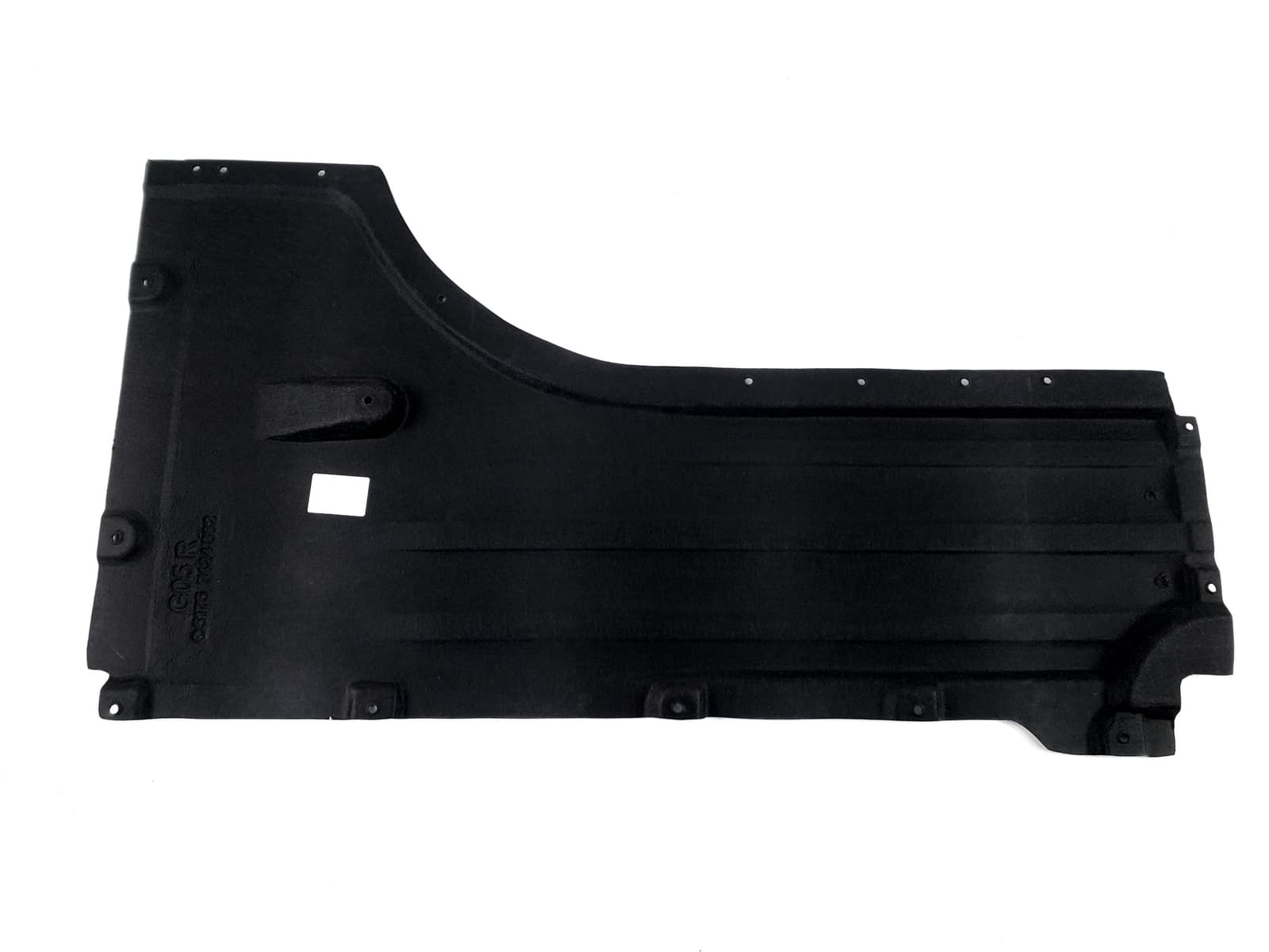 Захист днища RH на BMW X5 G05 2018-2022 року