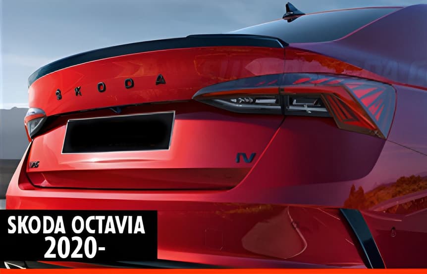 Спойлер V-1 (чорний глянець)