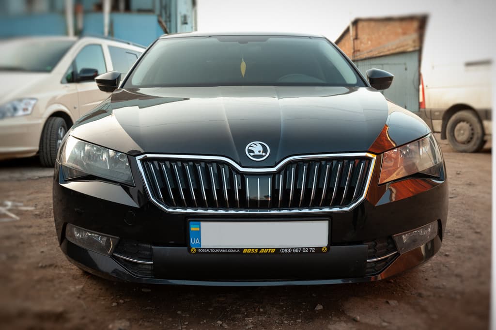 Зимова накладка на решітку (2015-2019, нижня) Матова
