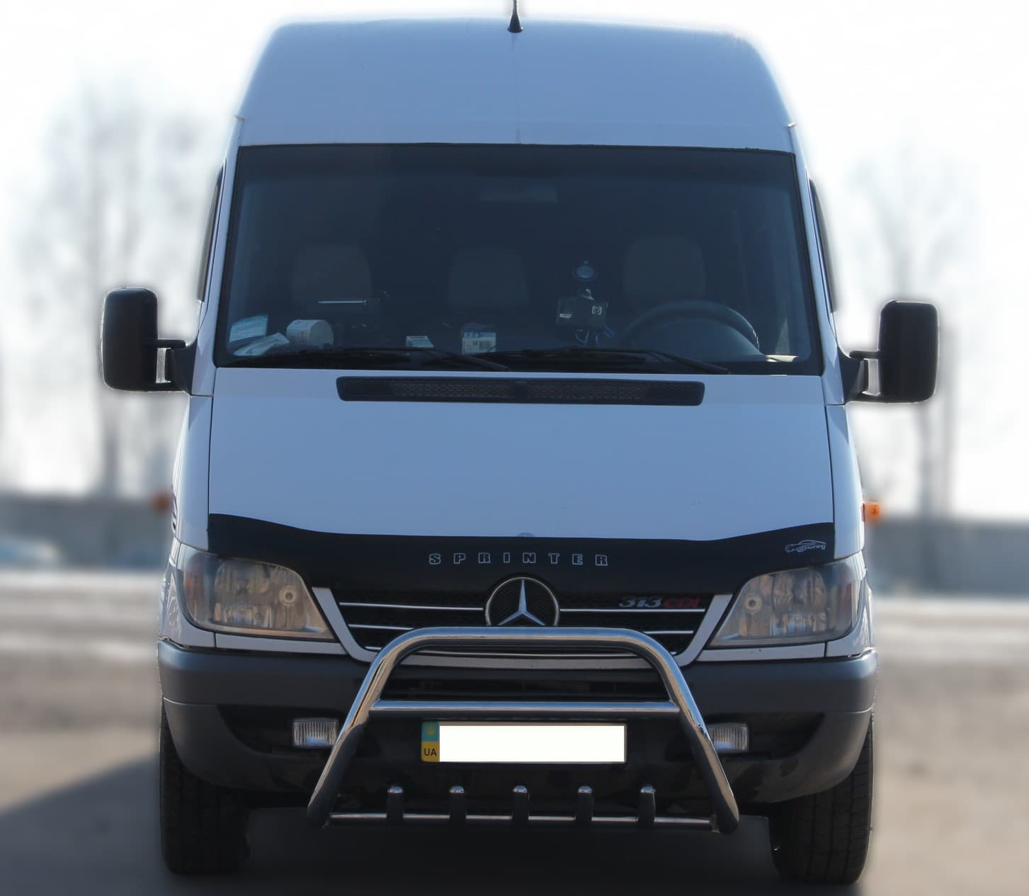 Кенгурятник WT003 (нерж.) 2000-2006
