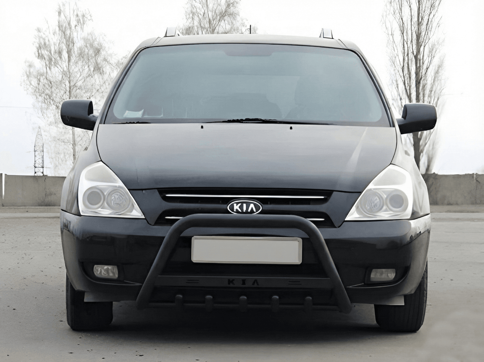Кенгурятник WT004 Black (нерж)