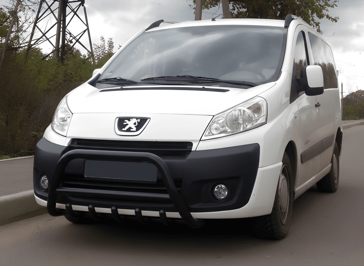 Кенгурятник WT003 Black (нерж)
