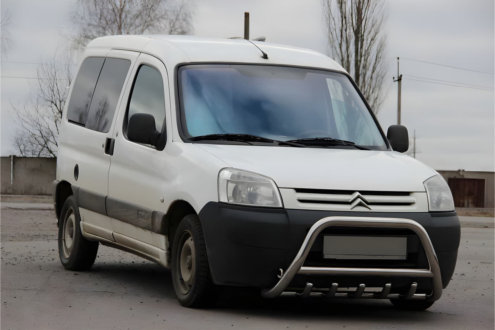 Кенгурятник WT003 (нерж.) 51 мм