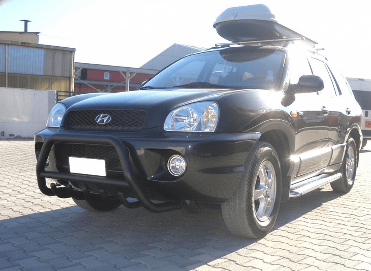 Кенгурятник WT003 Black (нерж.)