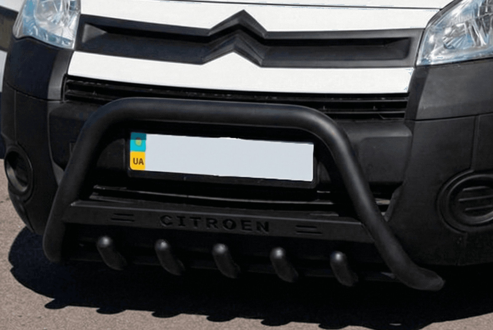 Кенгурятник WT004 Black (нерж)