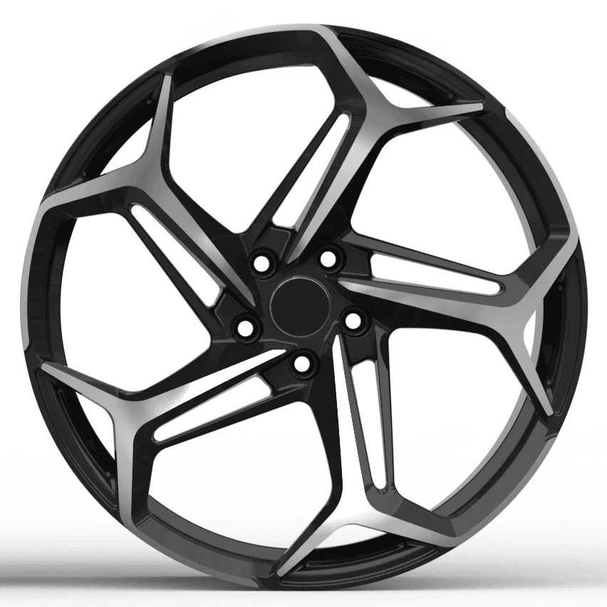 Ковані диски OEM R19 R20 (4 шт) 5
