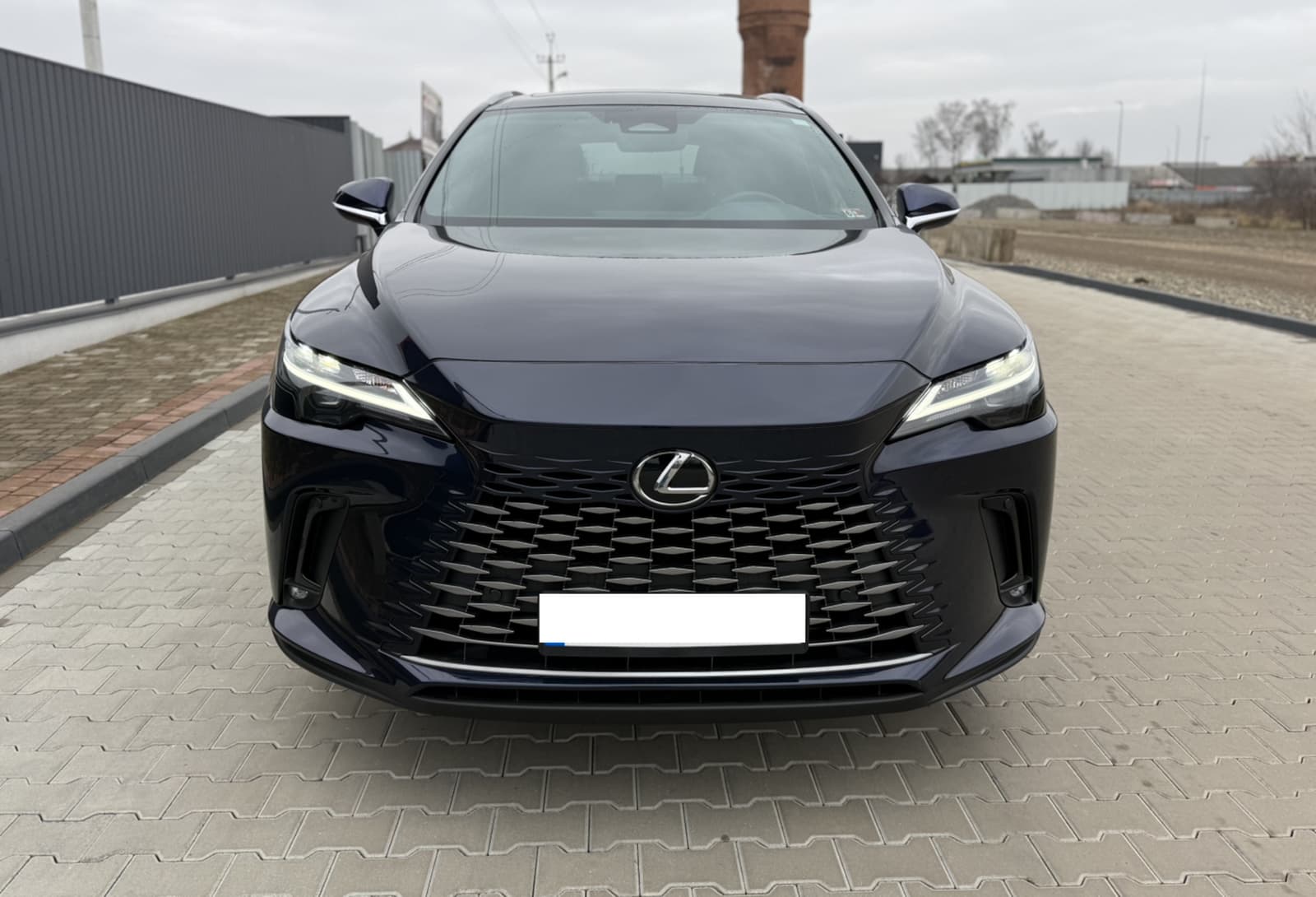 Решітка радіатора (Normal) на Lexus RX 2022-2024 року 5