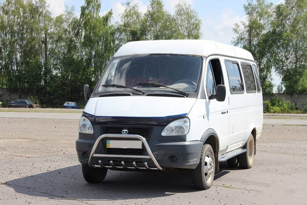 Кенгурятник WT003 (нерж.) 6