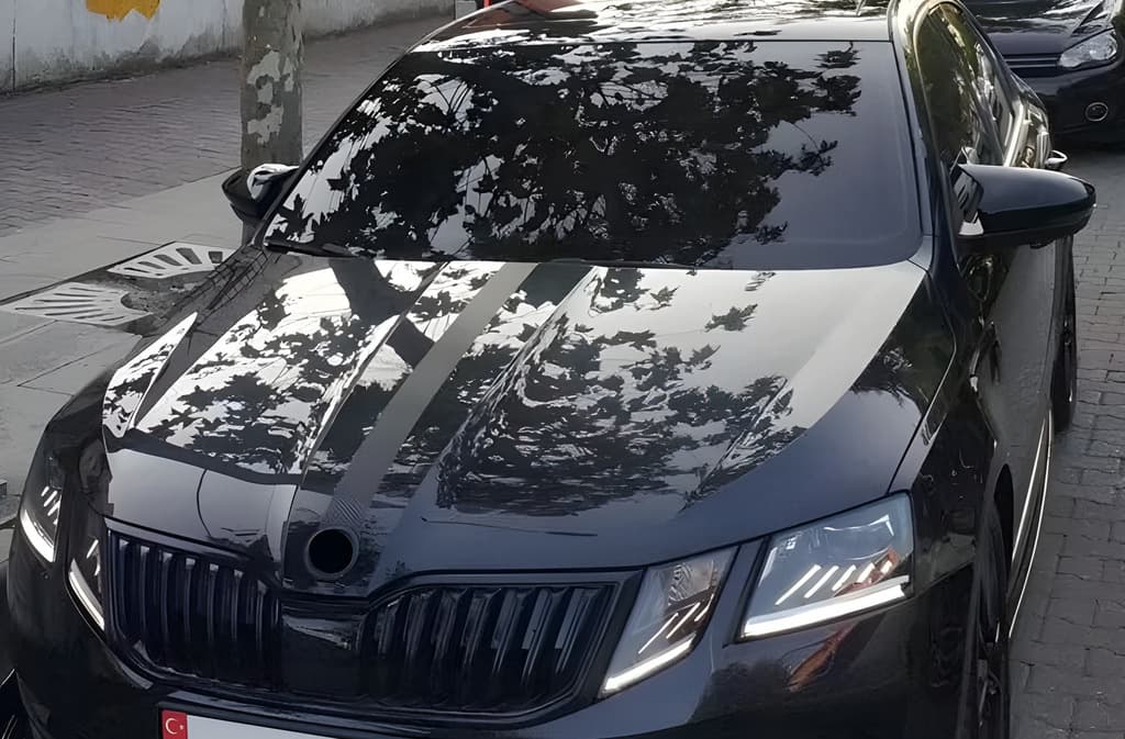 Накладки на дзеркала BMW-Style (2 шт) 6
