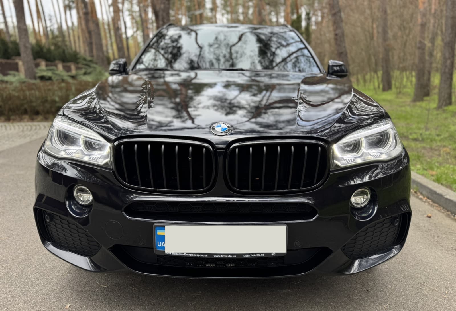 Ніздрі Чорний глянець на BMW X5 F15 2013-2018 року 3