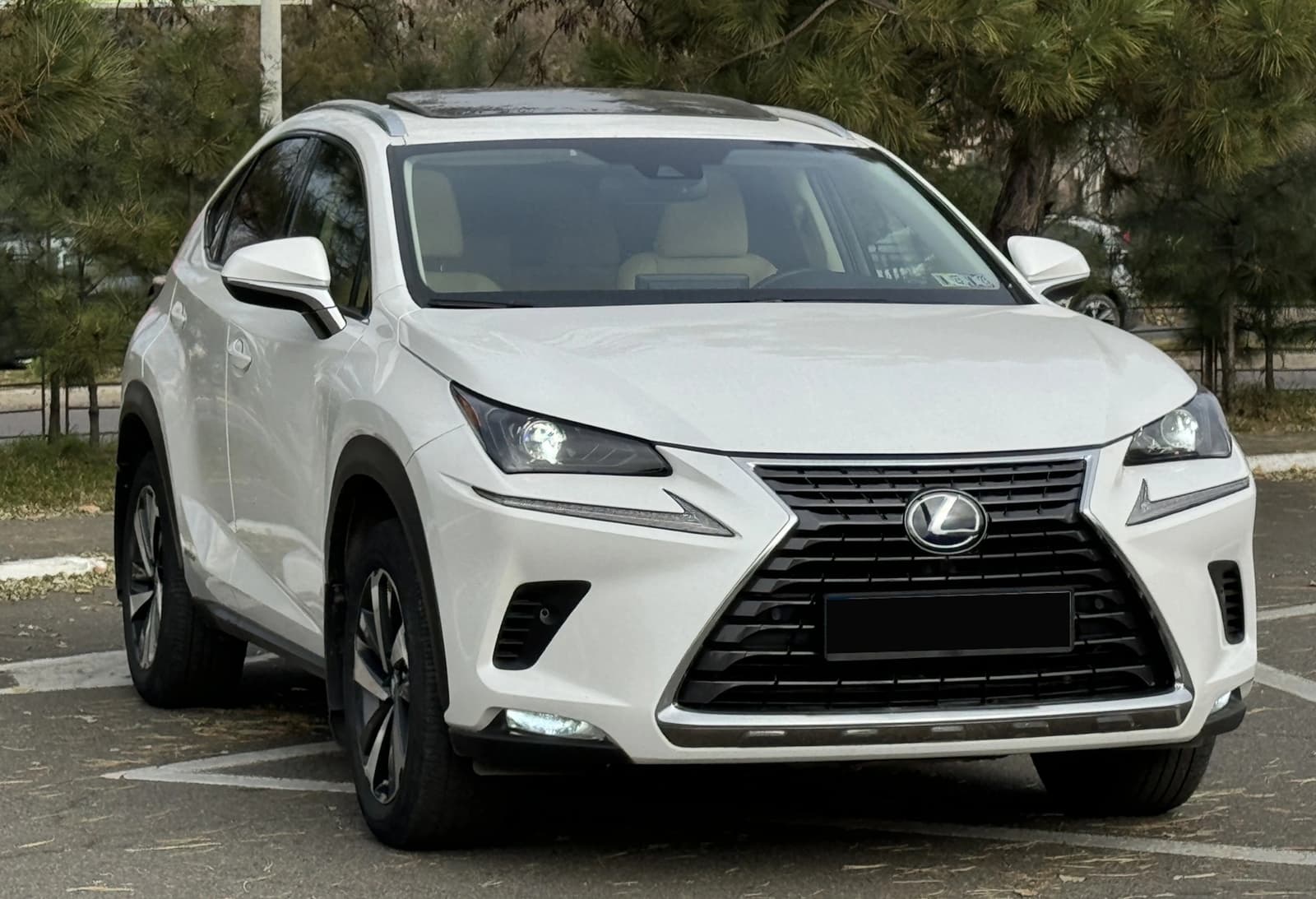 Решітка радіатора Gray (Normal) на Lexus NX 2017-2021 року 5