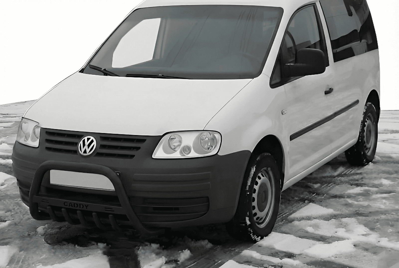 Кенгурятник WT004 Black (нерж)