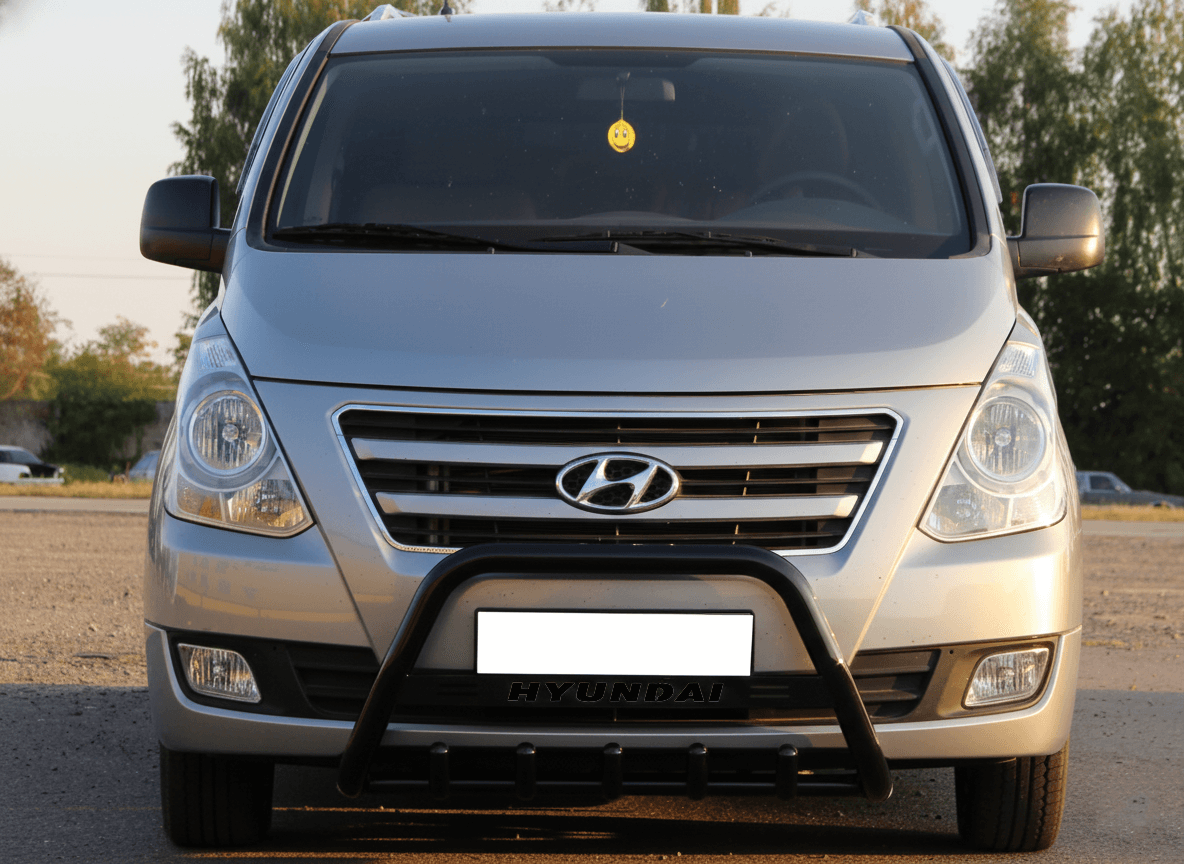 Кенгурятник WT004 Black (нерж)