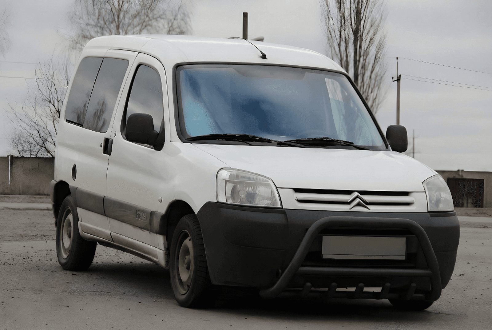 Кенгурятник WT003 Black (нерж)