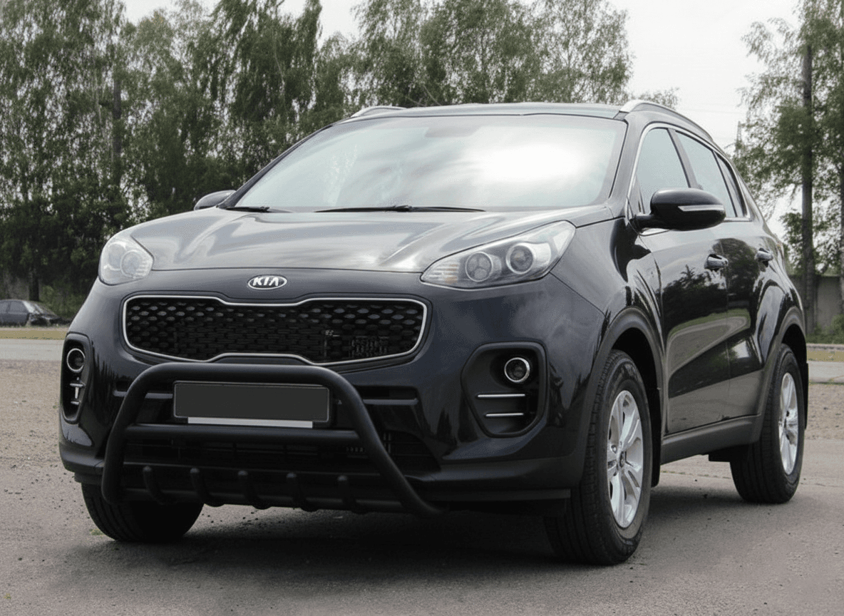 Кенгурятник WT003 Black (нерж)