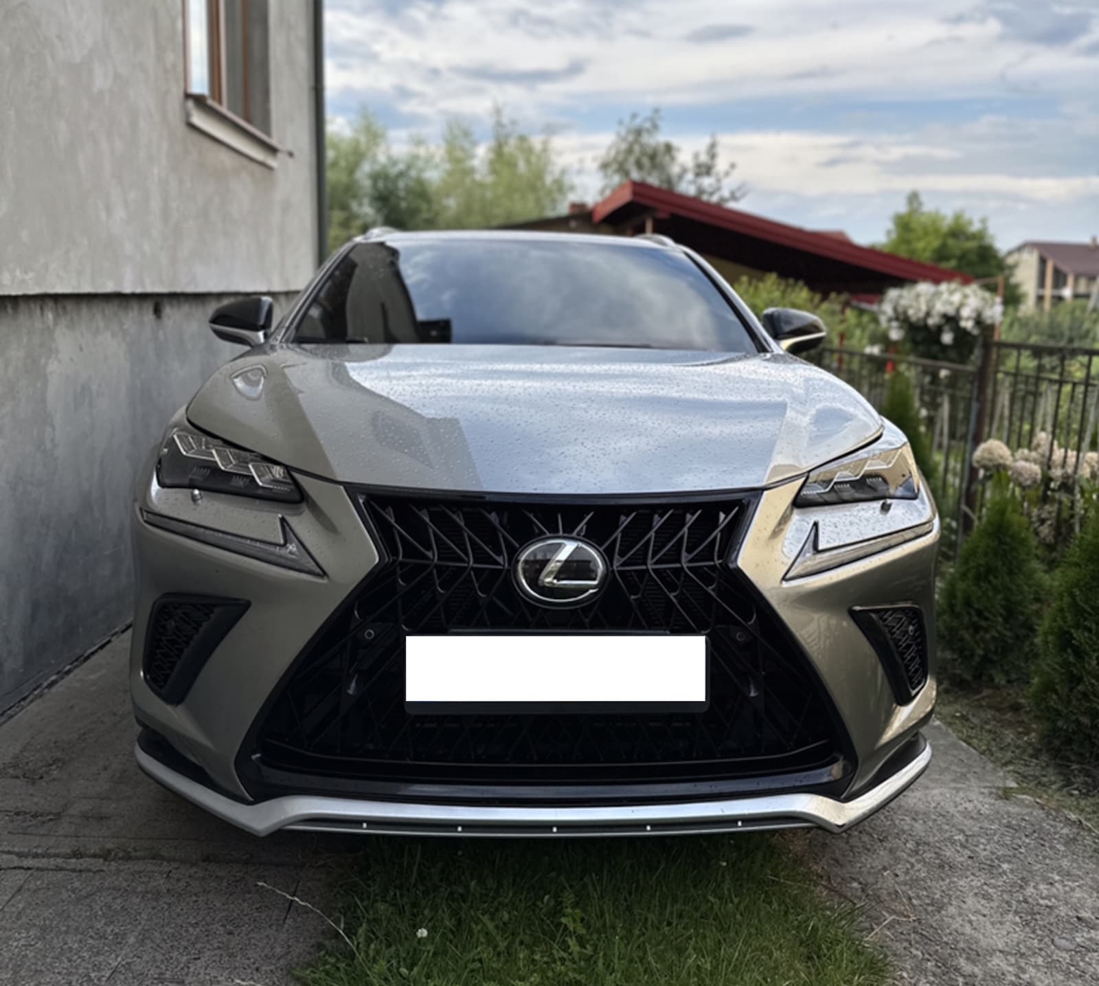 Решітка радіатора Black (стиль TRD) на Lexus NX 2017-2021 року 5