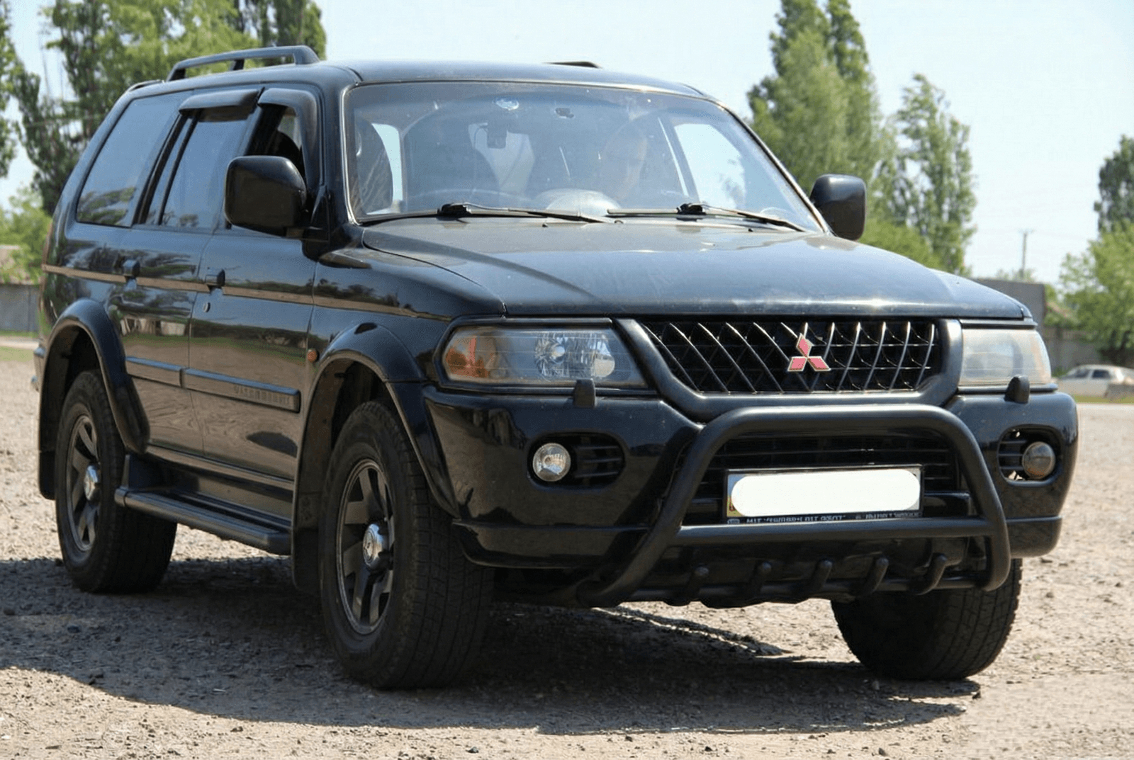 Кенгурятник WT003 Black (нерж)