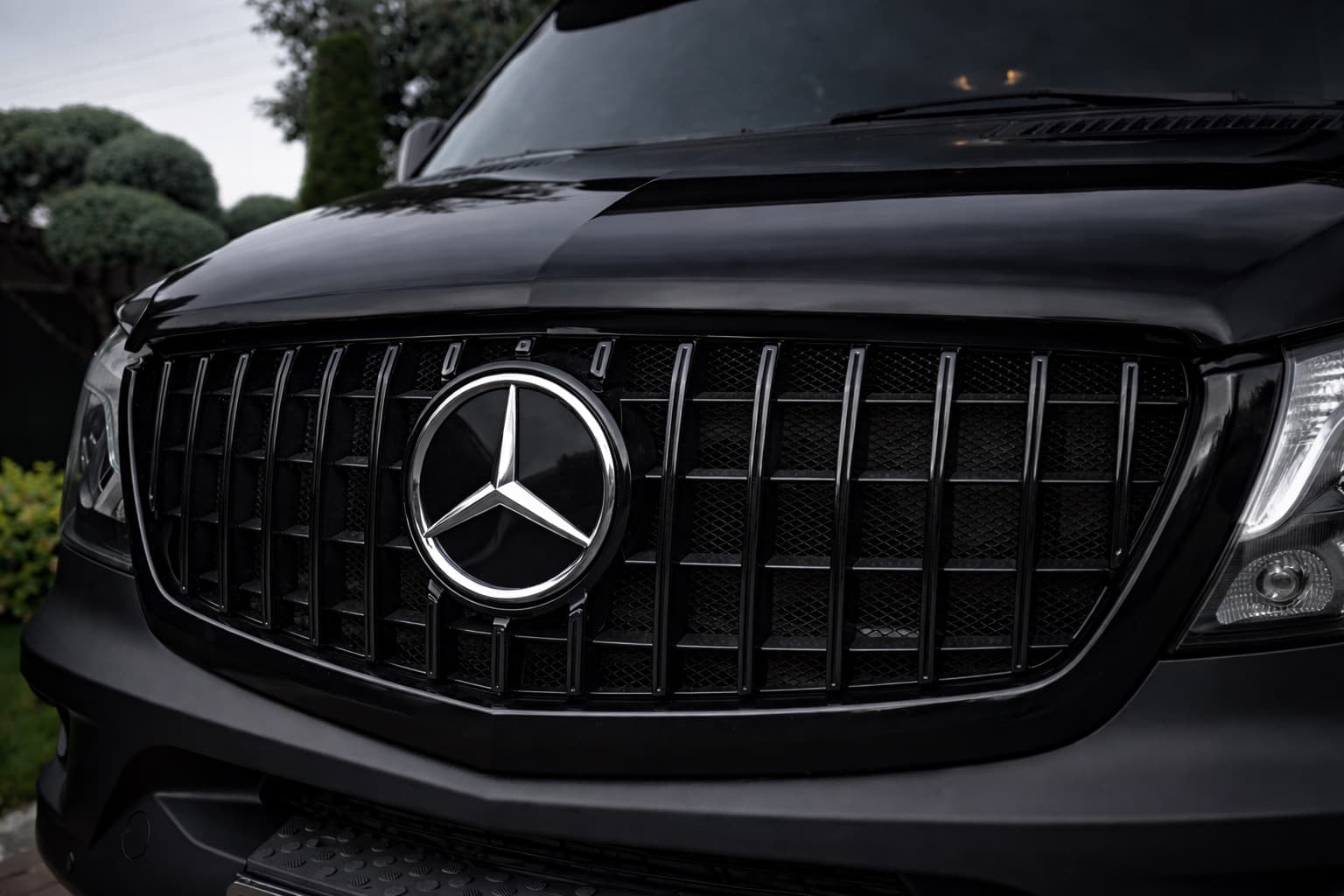 Передня решітка Panamericana GT Panamericana Black (2013-2018)