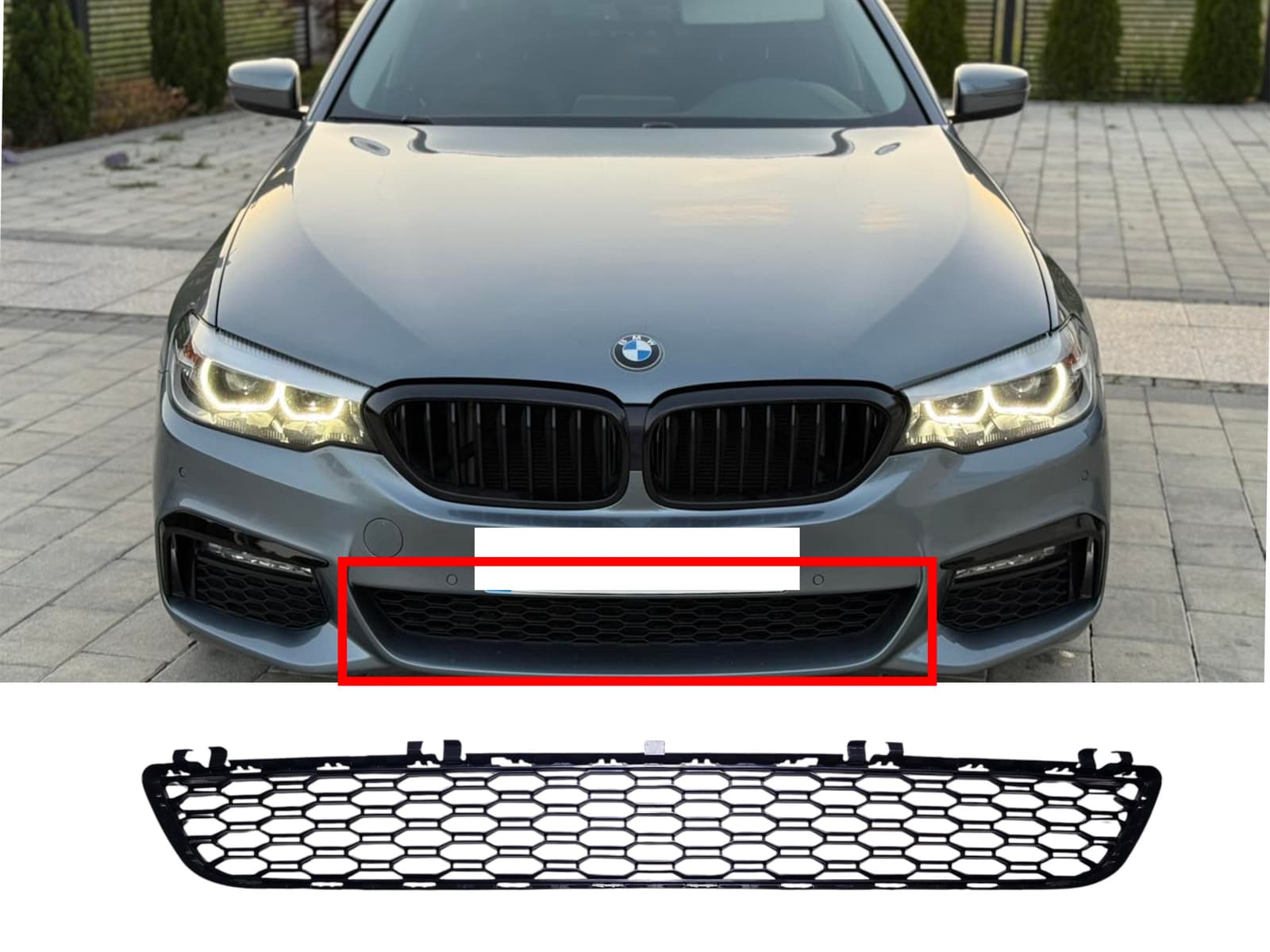 Решітки в бампер центральна в бампер (M-Paket) на BMW 5 Series G30 / G31 2017-2020 року