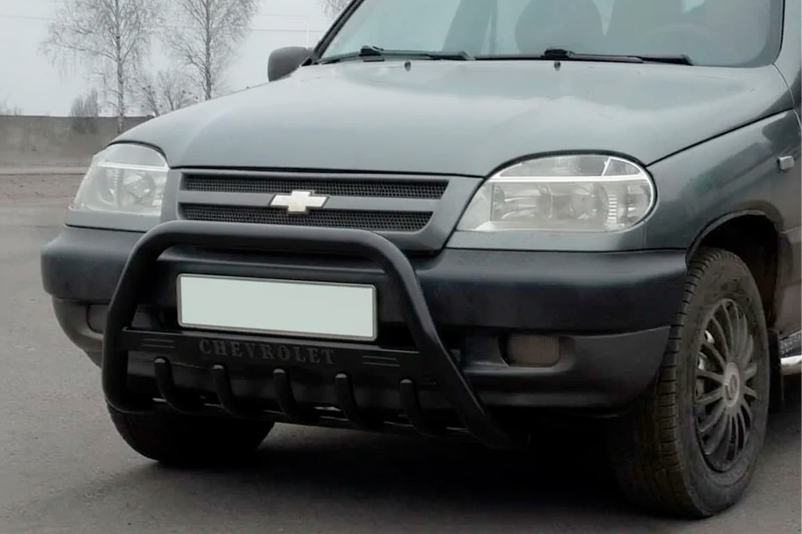 Кенгурятник WT004 Black (нерж)
