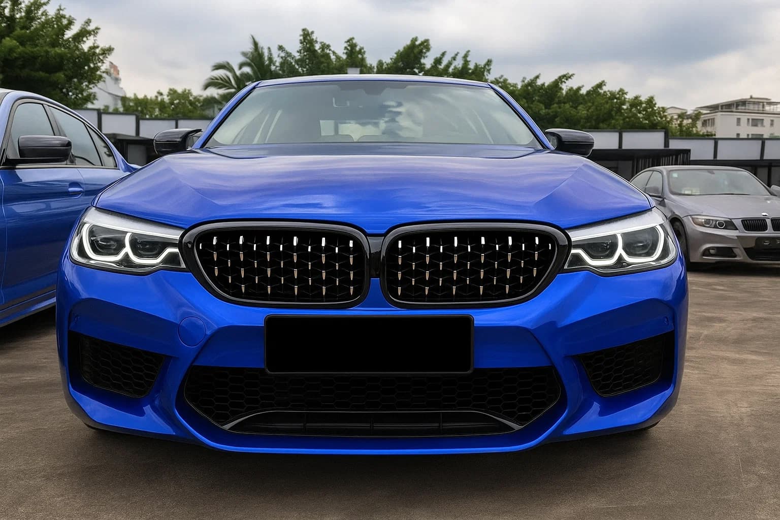 Ніздрі Diamond Silver V2 (2017-2020, Чорна окантовка)