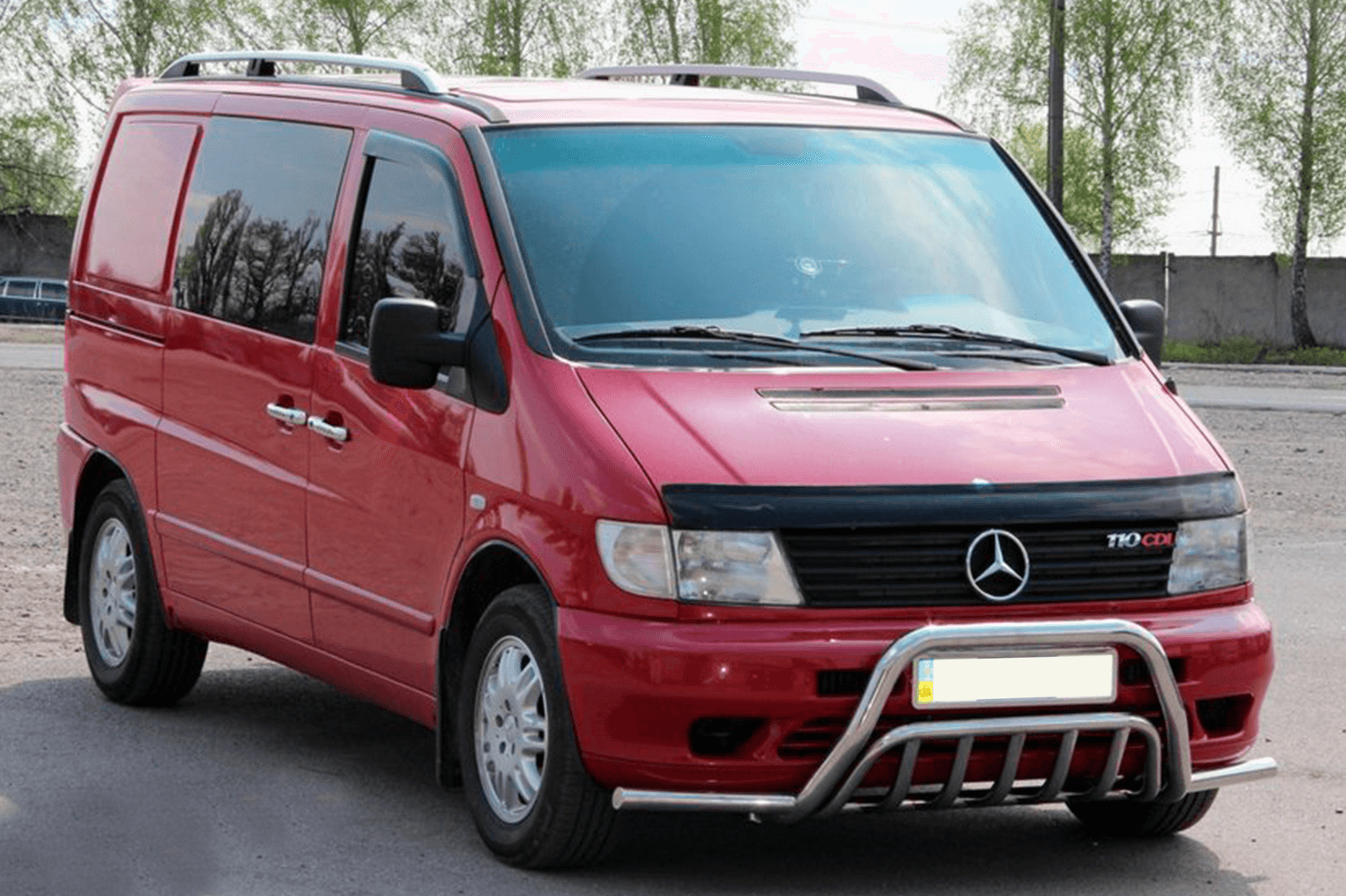 Кенгурятник із вусами WT002 Plus (нерж.)