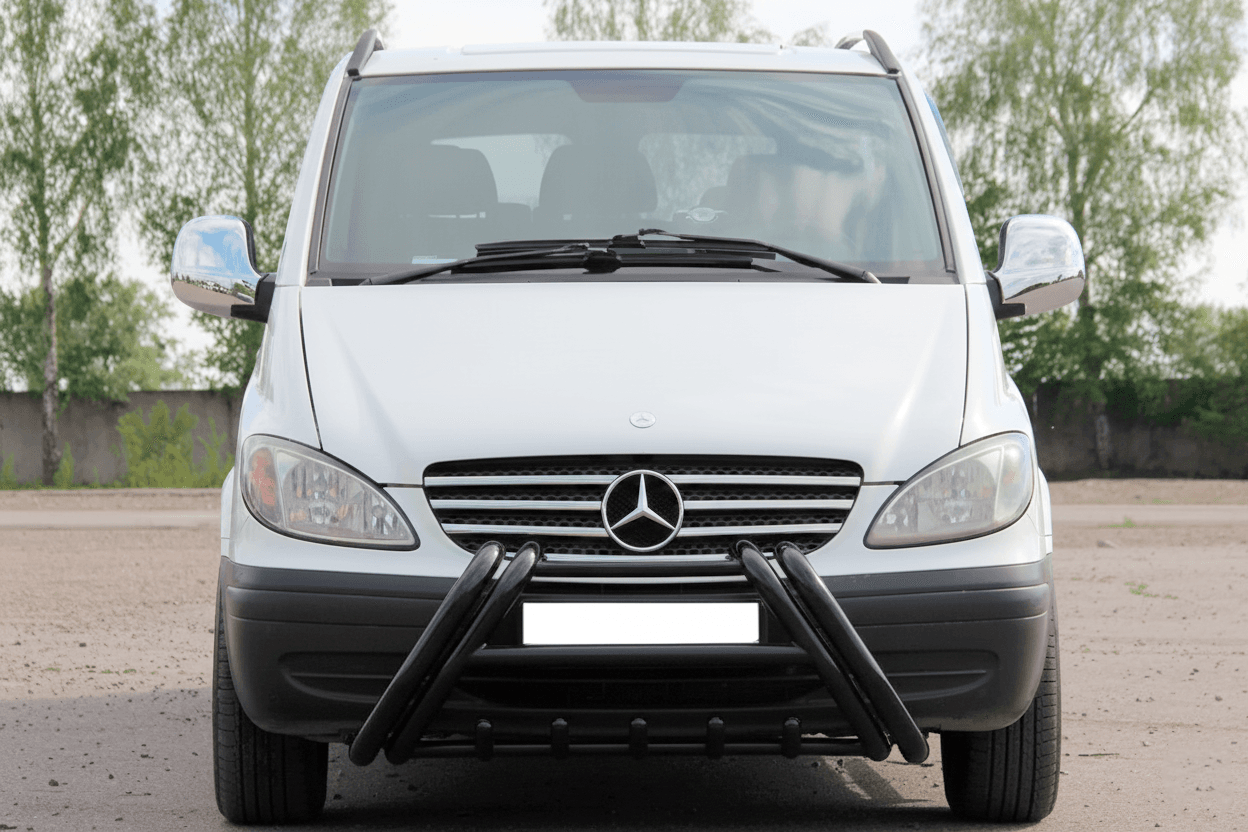 Кенгурятник Kelebek WT011 Black (нерж.)