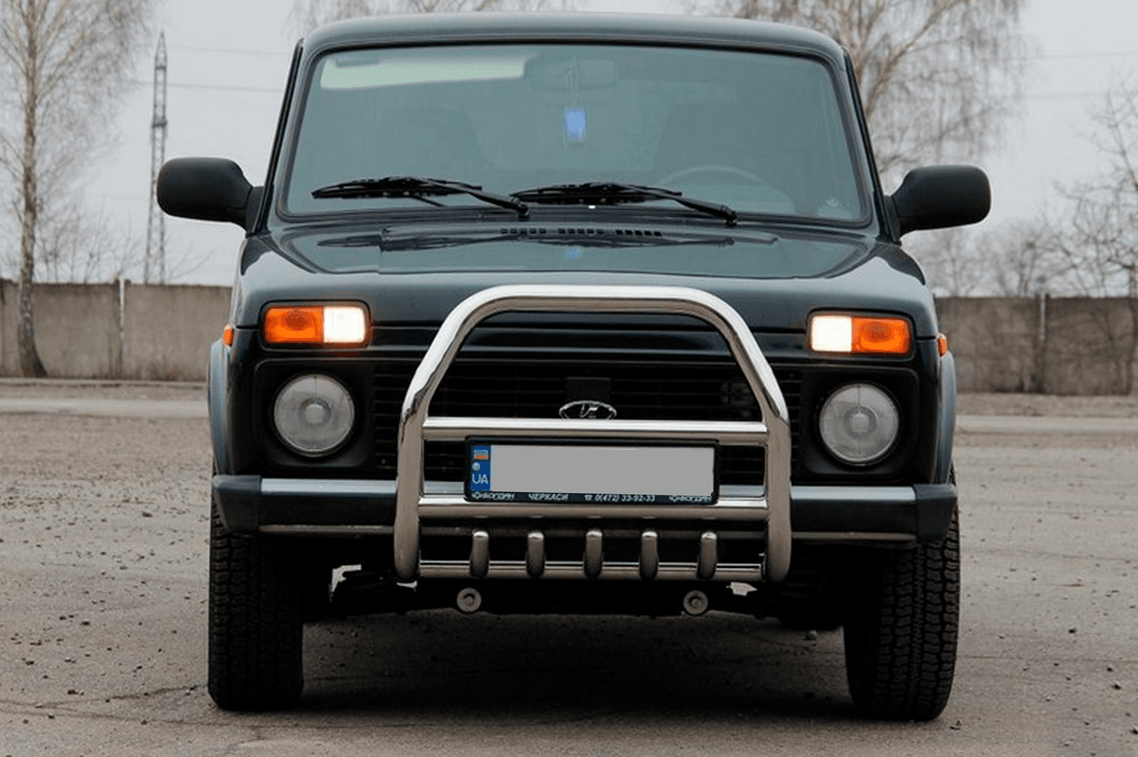 Кенгурятник QT007 (нерж.)