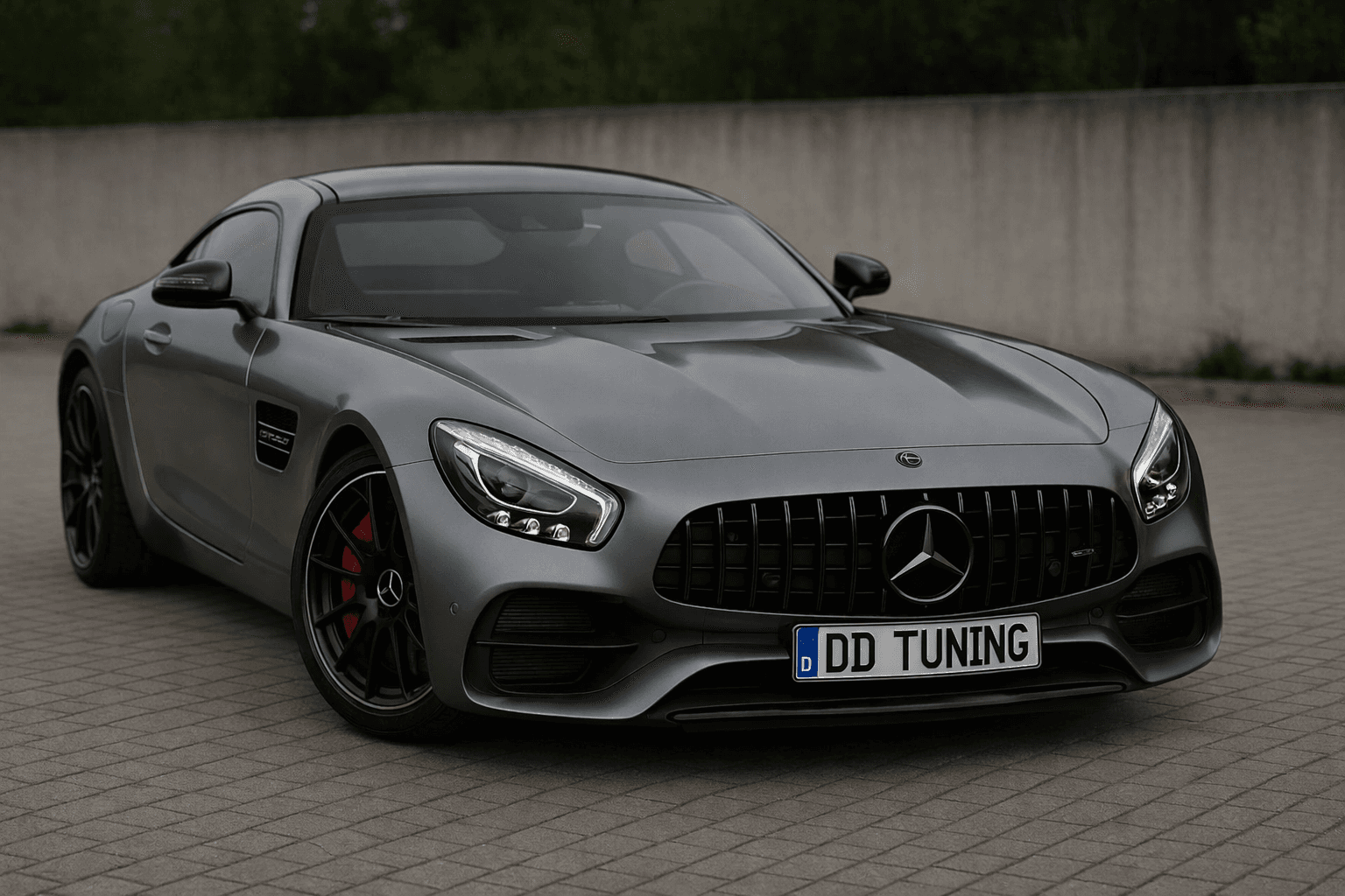 Передня решітка GT Panamericana Black (2014-2017)