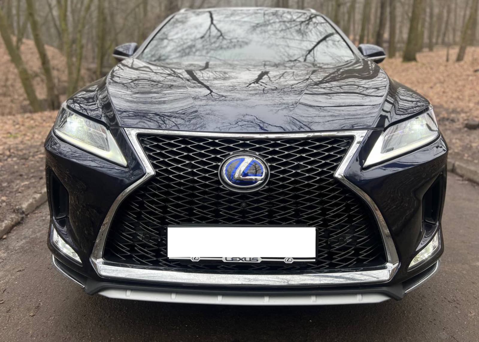 Решітка радіатора Gray (стиль F-Sport) на Lexus RX 2019-2022 року 5