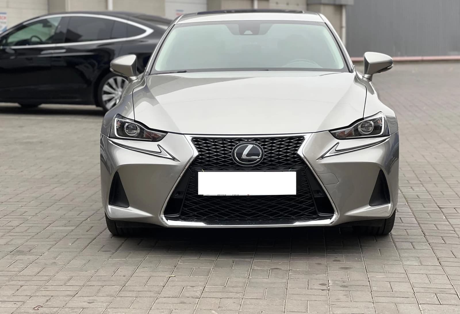 Решітка радіатора Gray (стиль F-Sport) на Lexus IS 2016-2020 року 5