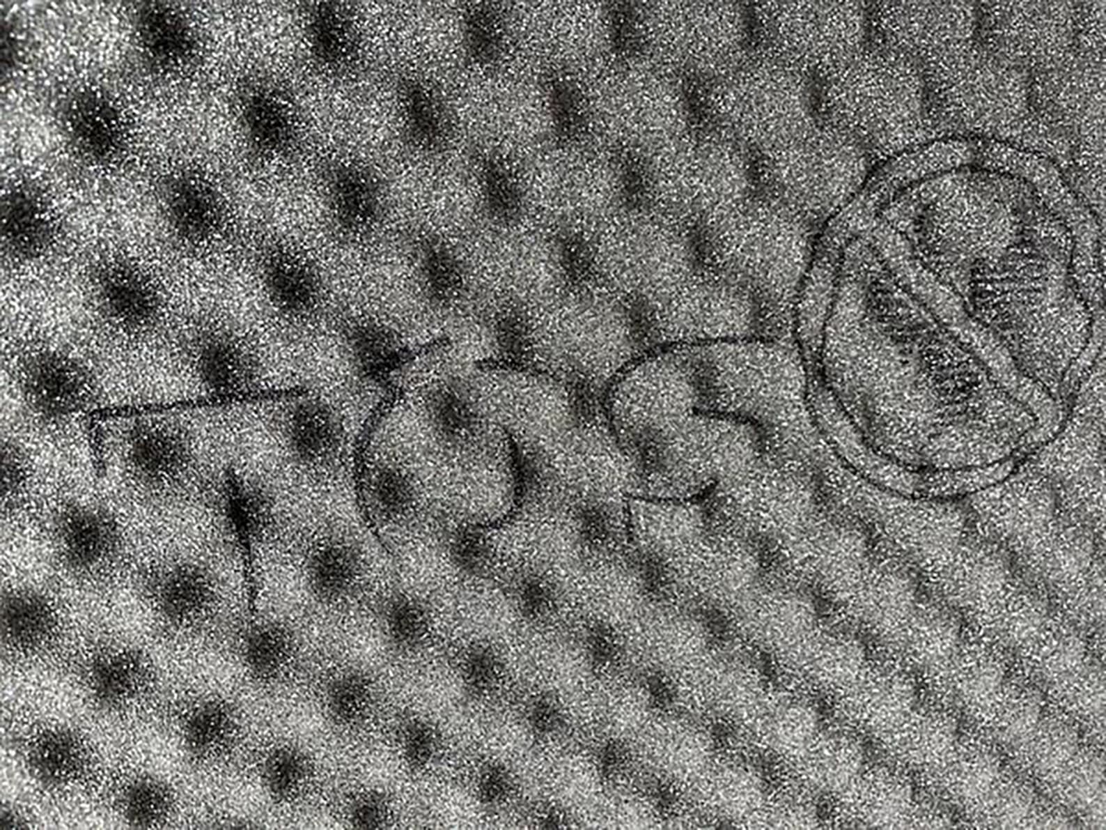 Негорючий звукопоглинаючий лист SQL NF 15 Non flam Foam 15мм (75х100см) 4