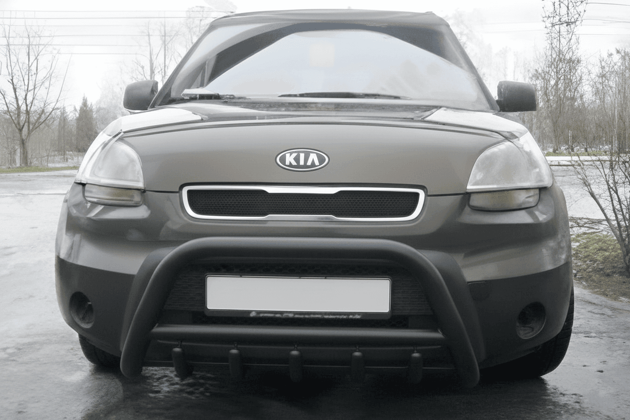 Кенгурятник WT003 Black (нерж)