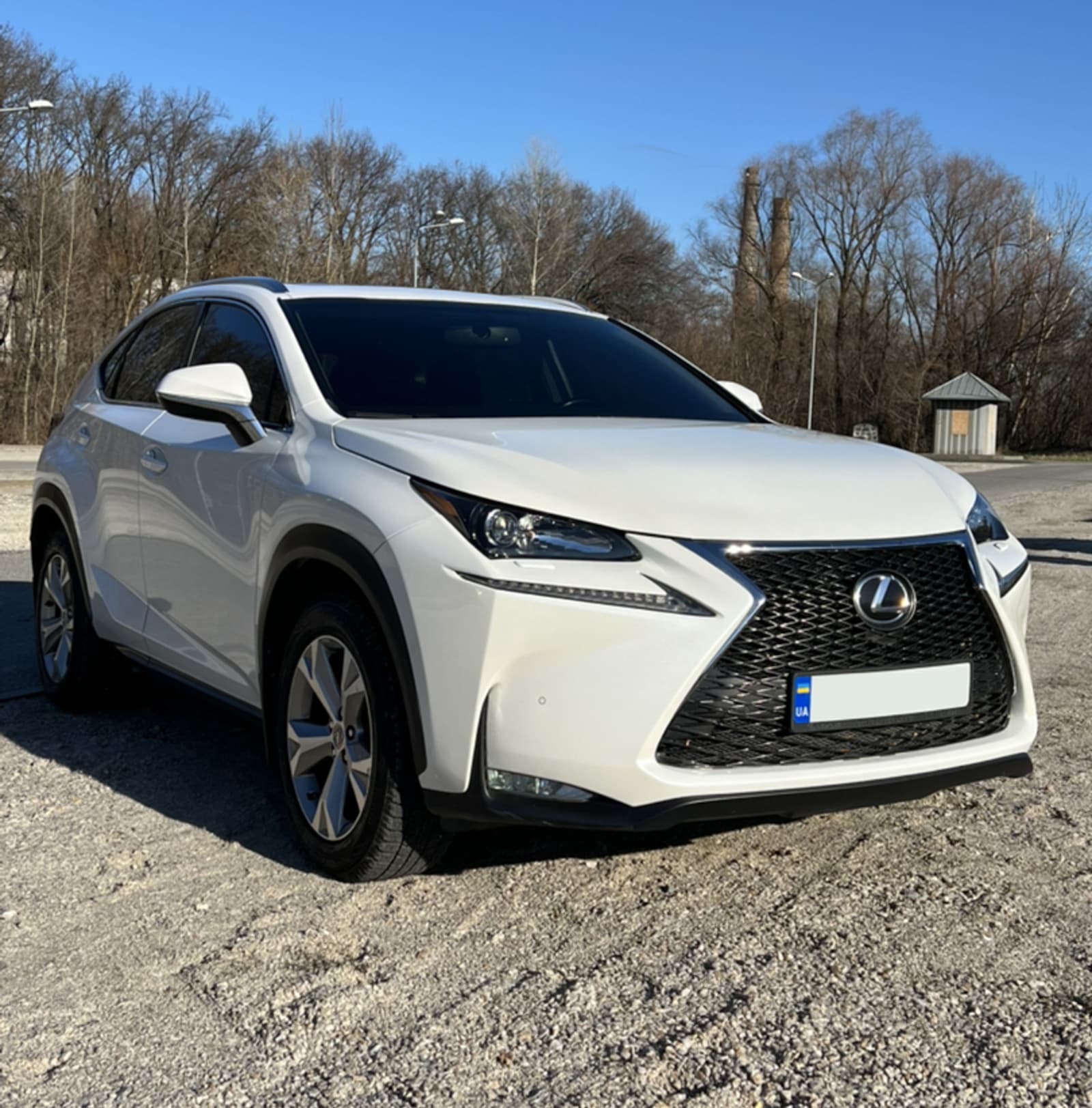 Решітка радіатора Black (стиль F-Sport) під камеру на Lexus NX 2014-2017 року 5