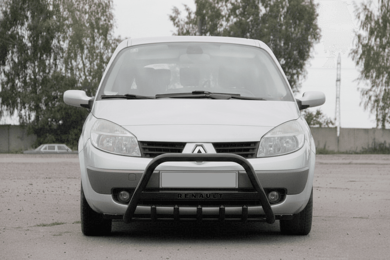 Кенгурятник WT004 Black (нерж.)