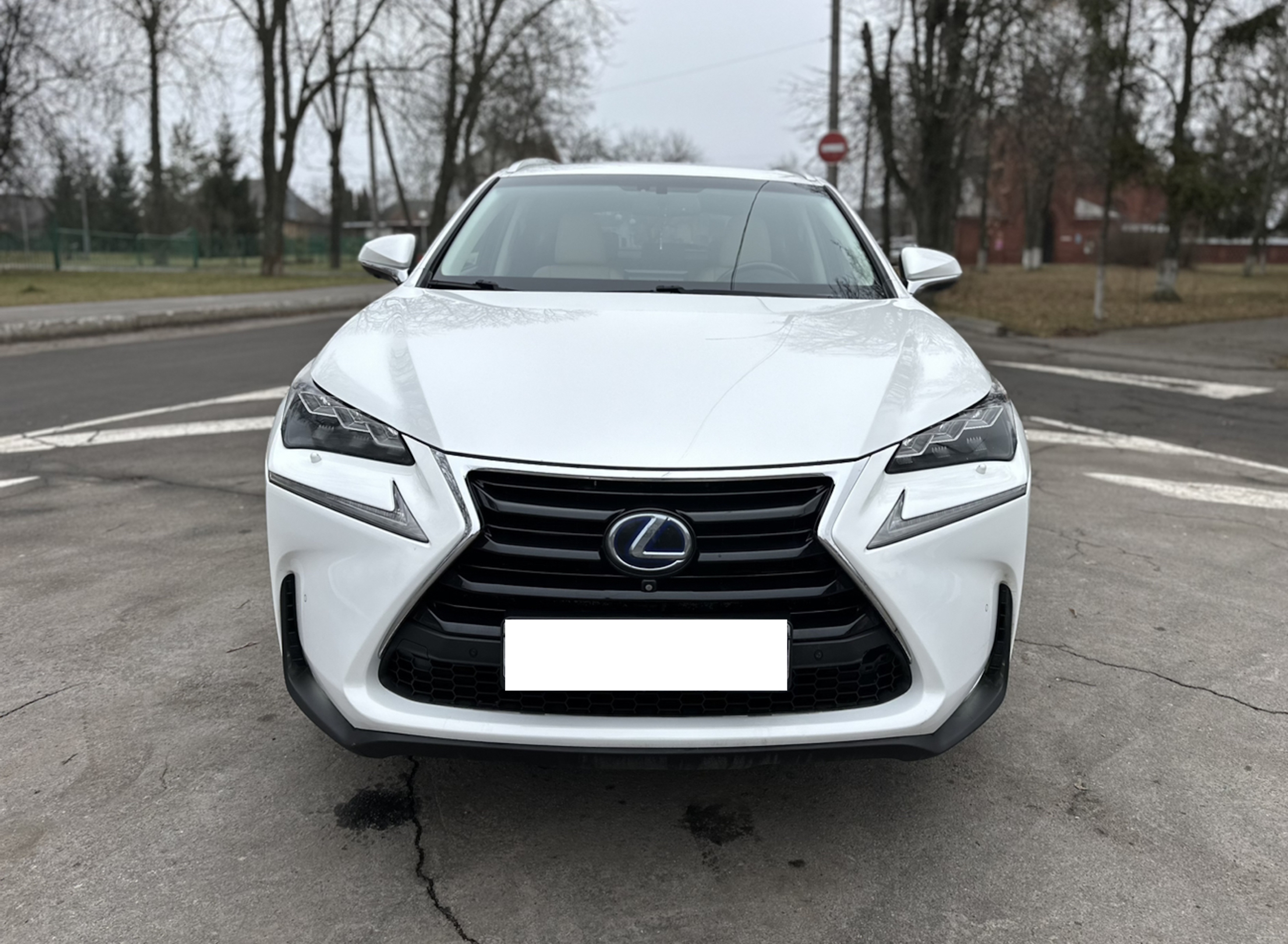 Решітка радіатора Gray (Normal) на Lexus NX 2014-2017 року 5