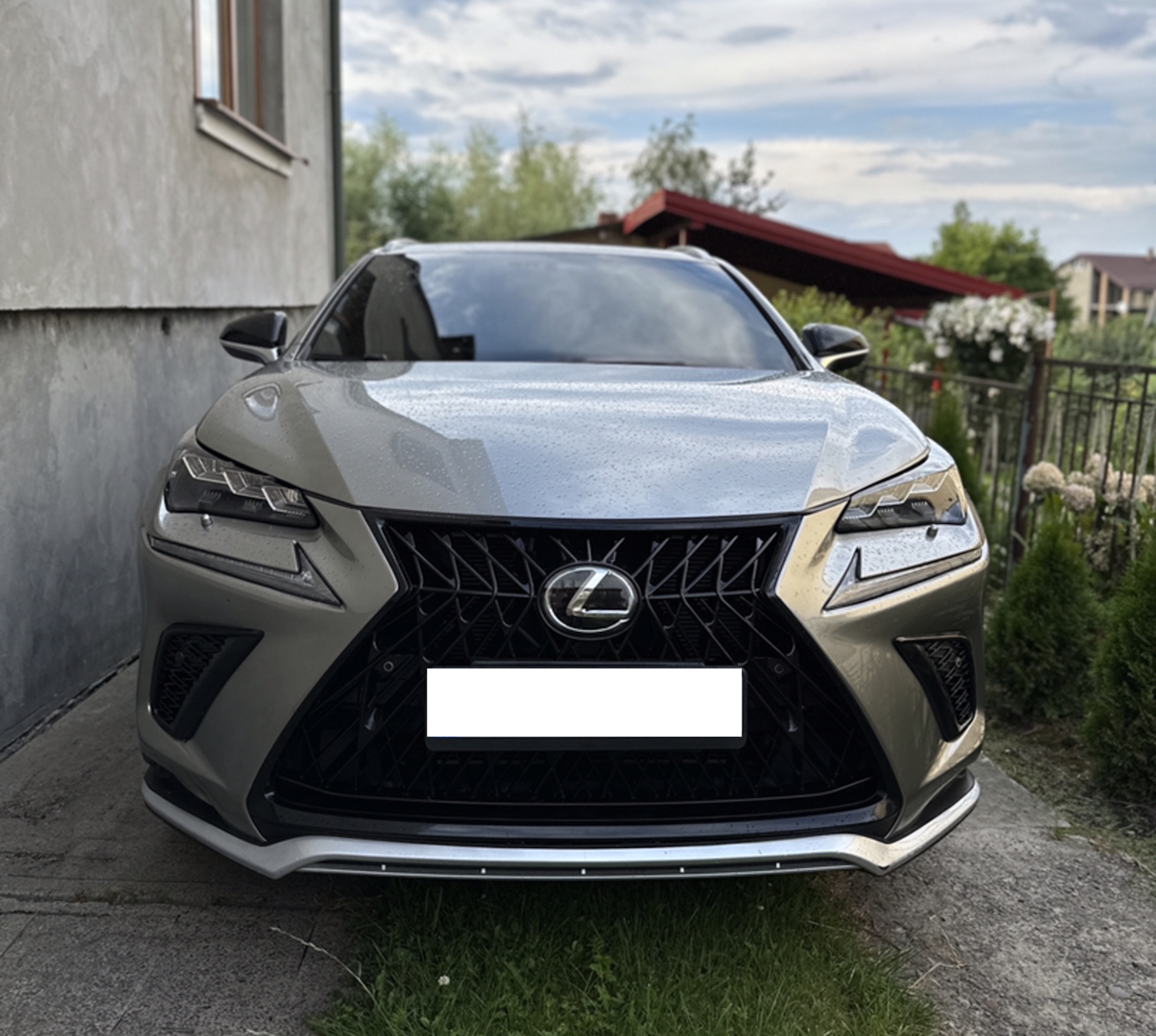 Решітка радіатора Black (стиль TRD) на Lexus NX 2017-2021 року 5