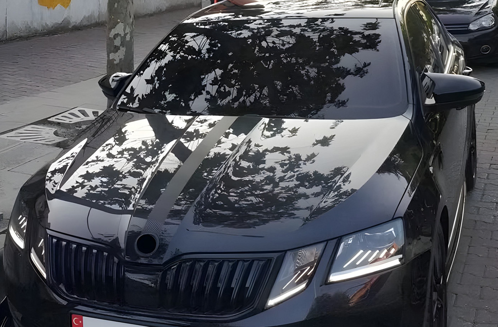 Накладки на дзеркала BMW-Style (2 шт) 6