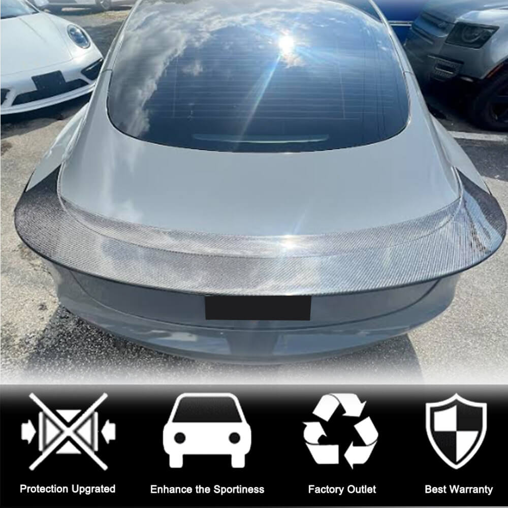 Спойлер V9 (2017-2023, Карбон) 2