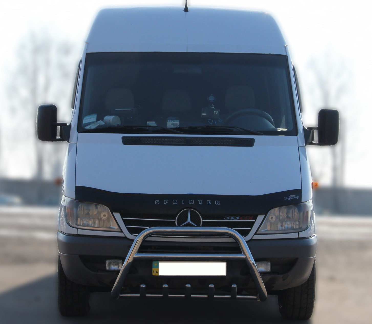 Кенгурятник WT003 (нерж.) 2000-2006