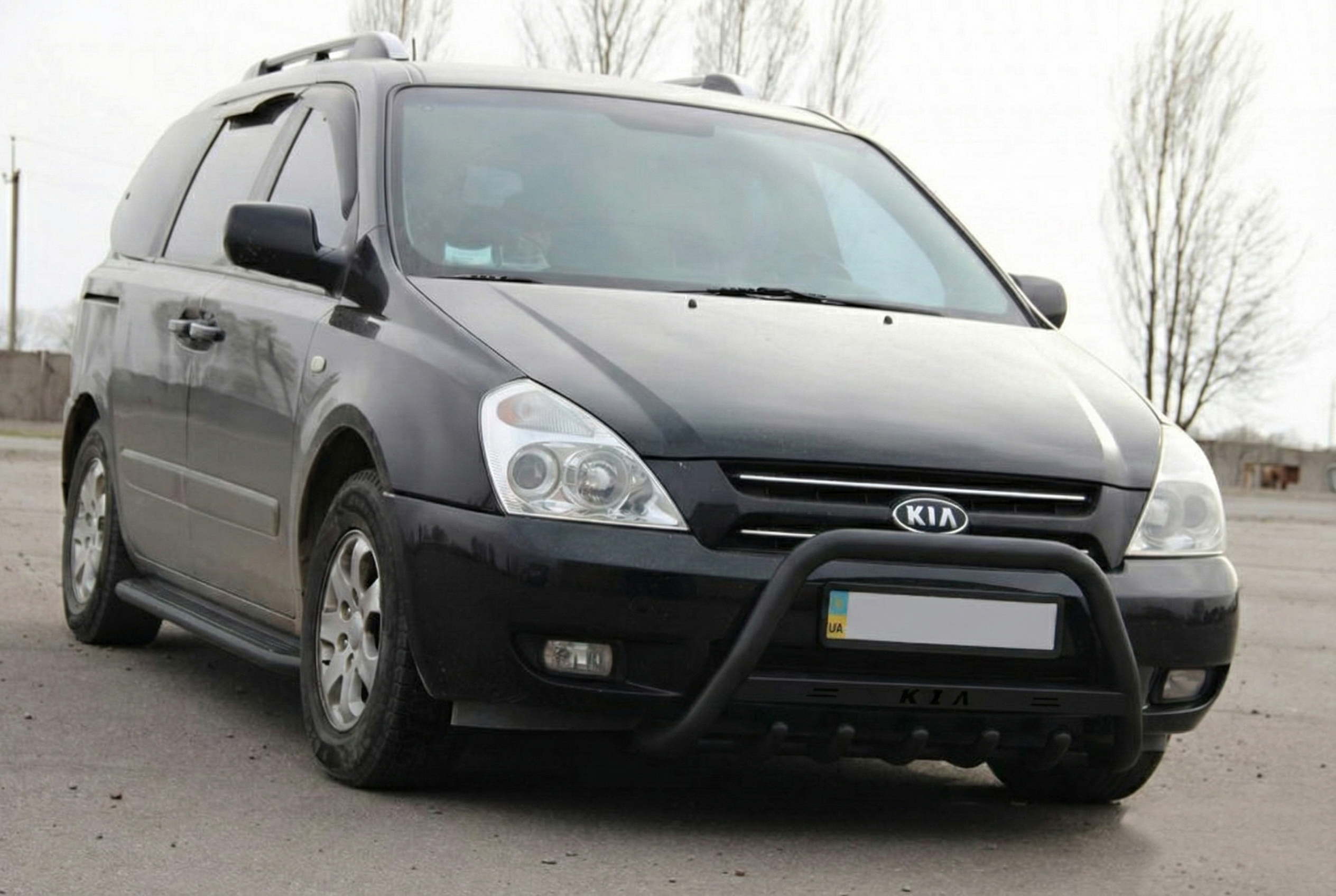 Кенгурятник WT004 Black (нерж) 2