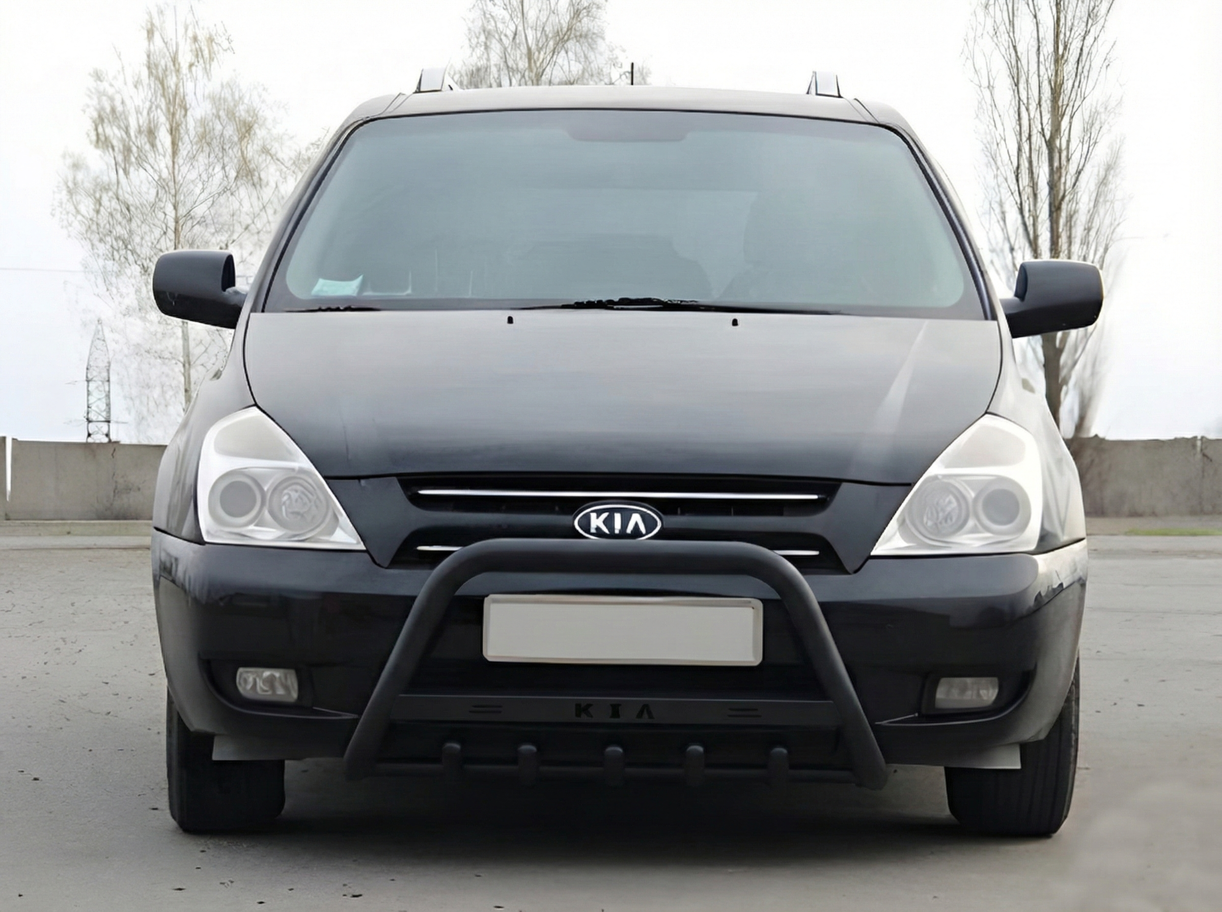 Кенгурятник WT004 Black (нерж)