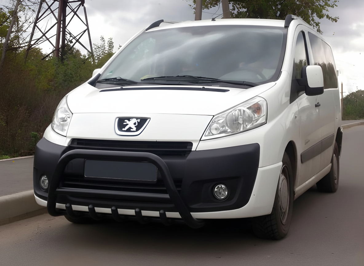 Кенгурятник WT003 Black (нерж)